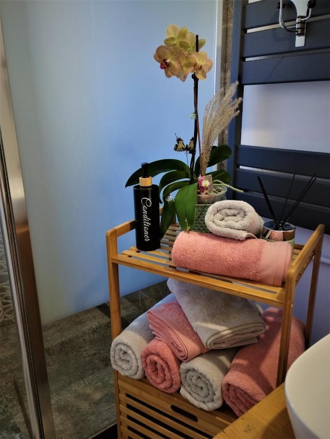 브라쇼브 Central Lala Apartament 아파트 외부 사진