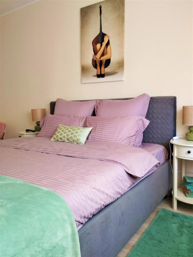 브라쇼브 Central Lala Apartament 아파트 외부 사진